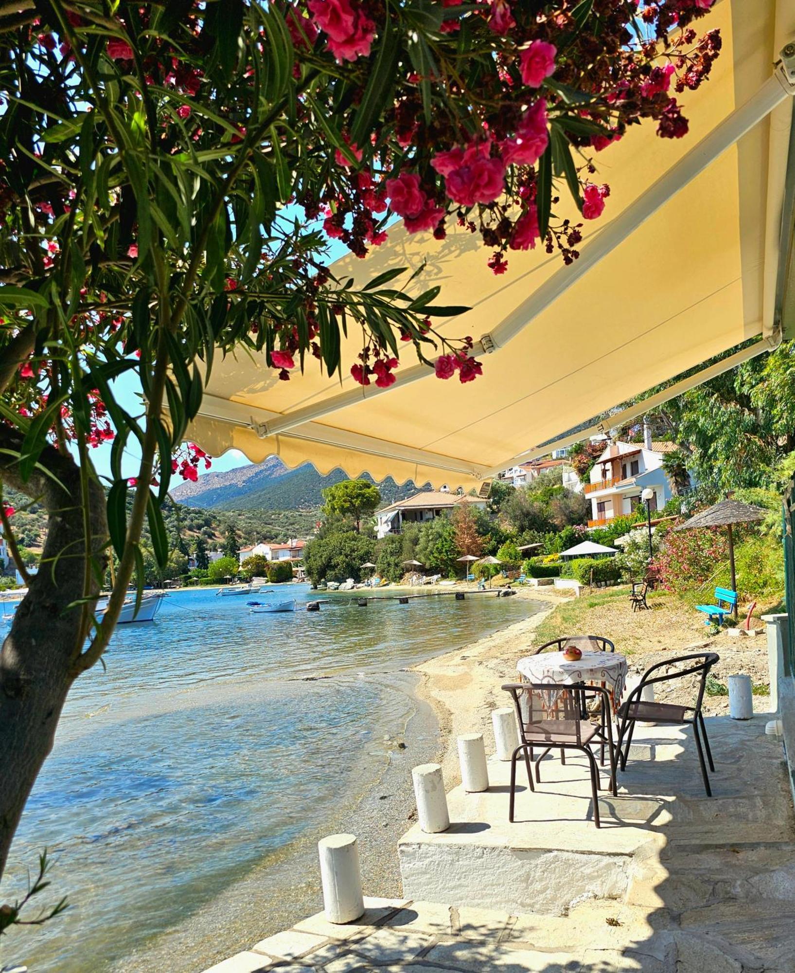 Polianthi Seaside House Villa Marathos  Buitenkant foto